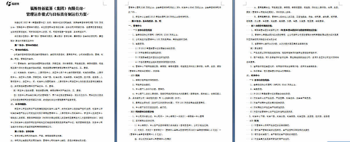 《福斯特集團(tuán)管理運作模式與目標(biāo)責(zé)任制運行方案》